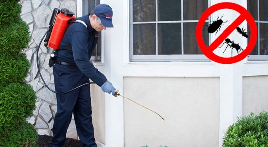 Elmadağ Gümüşkurt İlaçlama böcek ilaçlama ve haşere kontrolü — ilaclama-tr.com